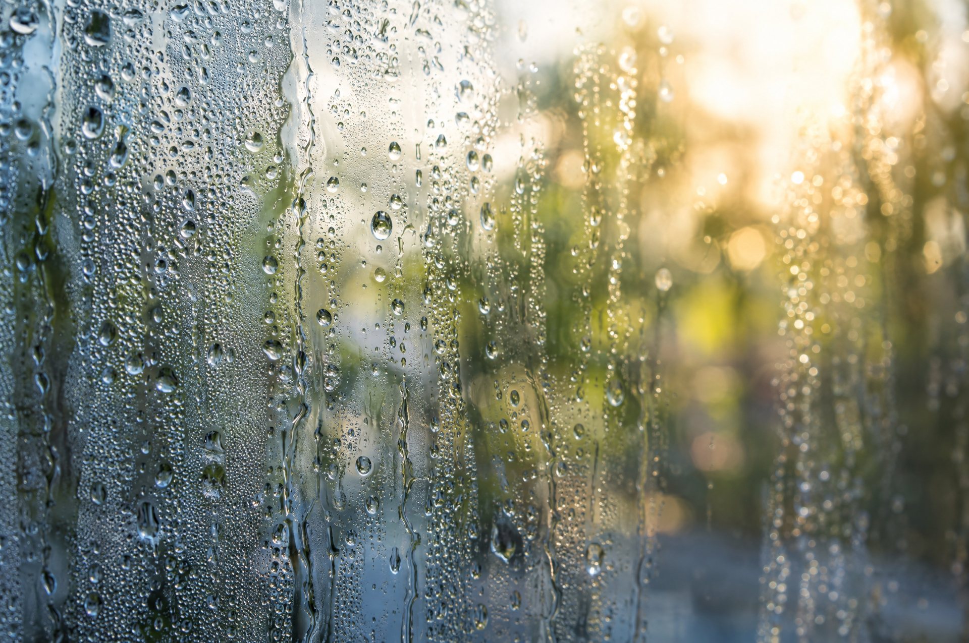 How Humidity Can Damage an Empty Home (and What to Watch For)
